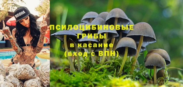 трава Абдулино