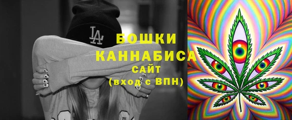 ГАЛЛЮЦИНОГЕННЫЕ ГРИБЫ Пересвет